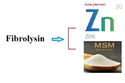  Fibrolysin có thành phần là lưu huỳnh và kẽm hữu cơ giúp đảo ngược quá trình tái cấu trúc và xơ hóa đường thở.