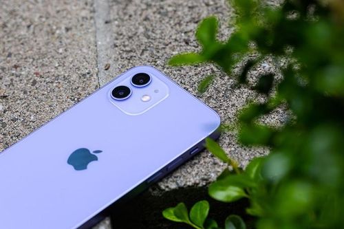 iPhone 12 tím sẽ ra mắt vào tháng 5