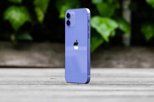 Những chi tiết nhỏ nhất trên máy như viền camera cũng được phủ màu tím nhẹ, trông tinh tế và lạ mắt. Logo "táo khuyết" vẫn giữ nguyên màu vàng đồng, phản quang.