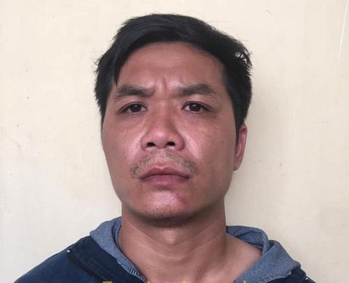 Bị kiểm tra khi đi trộm chó, dùng súng điện tấn công cảnh sát: Tối 16/9/2020, Ngô Phi Hùng (SN 1984, ở Đông Anh) và Phạm Văn Hoàng (SN 1987 ở huyện Mê Linh, Hà Nội) đang đi trộm chó thì bị Công an xã Kim Nỗ (huyện Đông Anh) kiểm tra thì bị Hoàng dùng súng điện tự chế tấn công cảnh sát, khiến 1 người bị thương. Theo hồ sơ, Hoàng có 2 tiền án, 2 tiền sự và nghiện ma túy.