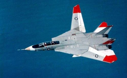 F-14 Tomcat có khả năng mang tổng trọng lượng vũ khí đạt 5,9 tấn, lớn hơn một chút so với đối thủ Su-33 của Nga.