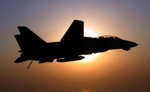 F-14 Tomcat được thiết kế với kiểu cánh cụp cánh xòe, 25% lực nâng của F-14 đến từ khu vực rộng lớn giữa 2 cánh.