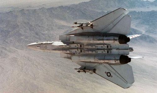F-14 Tomcat có thể mang theo nhiều loại bom khác nhau như: GBU-10, GBU-12, GBU-16, GBU-24, GBU-24E Paveway I/II/III LGB, GBU-31, GBU-38 JDAM, Mk-20 Rockeye II, Mk-82, Mk-83 và Mk-84