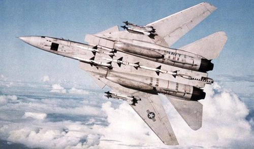 Chúng có thể mang theo 4 tên lửa AIM-7 trên thân và 4 tên lửa AIM-9 trên hai cánh.