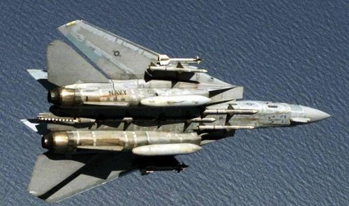 Ở phiên bản F-14D còn có thể mang theo tên lửa không đối không tầm xa AIM-120.