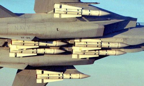 Vũ khí chính của Tomcat là 6 tên lửa AIM 54 Phoenix tầm bắn tới 190 km. Đây là tên lửa không đối không có tầm bắn xa nhất của Mỹ.