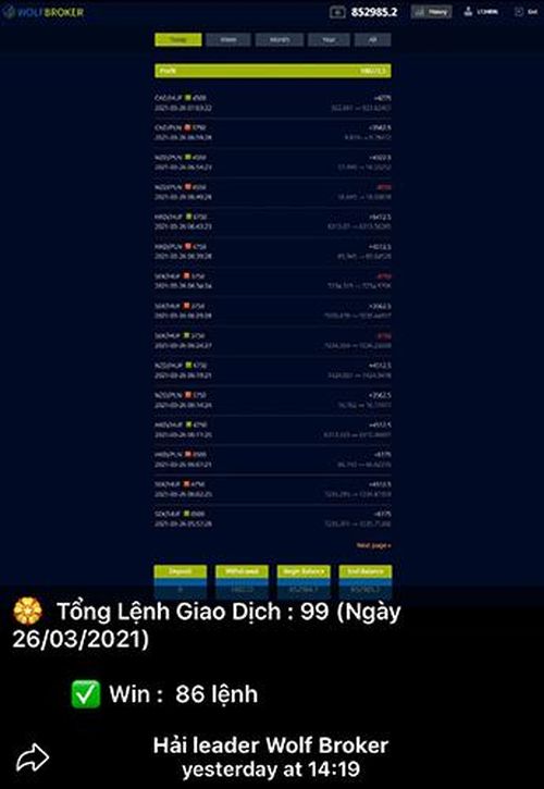 Các nhà đầu tư chỉ cần bỏ tiền để “Ban chuyên gia” khớp lệnh mang về lợi nhuận.