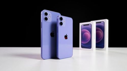 iPhone 12 và iPhone 12 mini màu tím. (Ảnh: Alexander Pobyvanets / HunchMag)