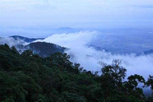 Huyện nổi tiếng với khu du lịch Tam Đảo nằm trên địa bàn thị trấn Tam Đảo. Ảnh: Mytour.