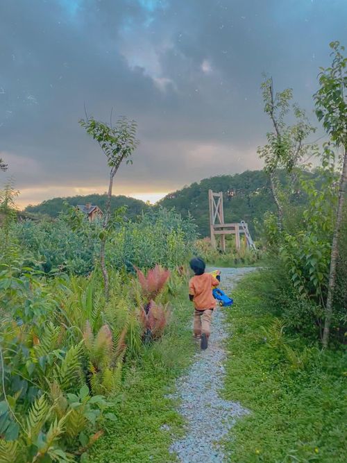  Rời thành phố ồn ào, chị Việt Anh hài lòng với cuộc sống yên bình, gắn liền với trang trại của mình ở Đà Lạt. 