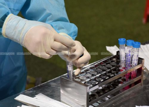 Các mẫu bệnh phẩm sau khi được lấy xon sẽ chuyển về CDC Nghệ An để xét nghiệm