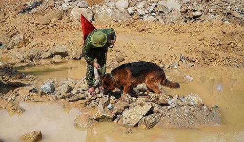 Tuy nhiên, vẫn chưa phát hiện thêm nạn nhân.