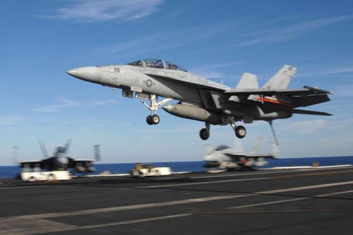 Các mẫu máy bay chính của dòng F/A-18 là "Bumblebee" (loại A/B/C/D) và "Super Hornet" (E/F). Hiện tại, có khoảng 884 máy bay chiến đấu "Bumblebee" hoặc "Super Hornet" được phục vụ trên khắp thế giới. Hải quân Mỹ có 532 chiếc F/A-18E/F Super Hornet và Thủy quân lục chiến có khoảng 100 chiếc F/A-18C/D Hornet.