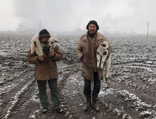 Bức ảnh "Người chăn cừu Transylvanian" đạt giải thưởng cao nhất của The 2021 iPhone Photography Award.