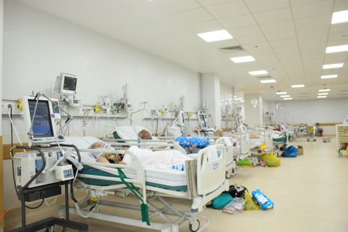 Giải pháp trước mắt và quan trọng nhất là đẩy mạnh điều trị để giảm số ca tử vong trong cộng đồng.