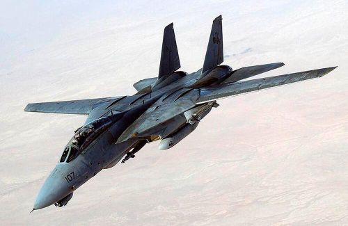 F-14 Tomcat là loại máy bay chiến đấu siêu âm cánh cụp cánh xòe với 2 động cơ và 2 chỗ ngồi, do Northrop Grumman sản xuất. Máy bay này được đưa vào biên chế từ năm 1970 và có giá 63,9 triệu USD. Trong suốt thời gian phục vụ trong Hải quân Mỹ, nó được sử dụng vào hoạt động do thám, ném bom và chặn đánh trên không