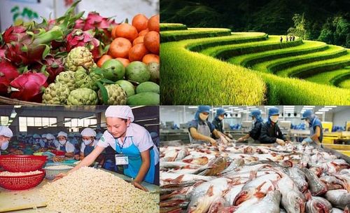 Những sản phẩm xuất khẩu mà Việt Nam có lợi thế khi vào thị trường Nam Phi. (Nguồn: Bộ Công Thương)