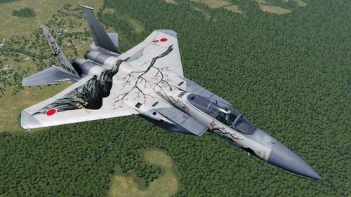 Kể từ khi Chiến tranh Lạnh kết thúc, chiến đấu cơ F-15 của Nhật Bản ít được hiện đại hóa. Trong số đó, chỉ một phần phi đội F-15J đã được nâng cấp, để có thể sử dụng tên lửa không đối không tầm xa AIM-120 hiện đại của Mỹ.