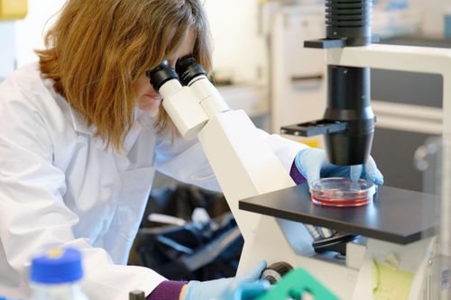  Các nhà khoa học chỉ ra chủng R.1 có chứa một số dạng đột biến có thể khiến virus thêm nguy hiểm. Ảnh: Time. 