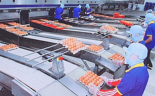 DN duy trì sản xuất ổn định trong điều kiện đã kích hoạt và đáp ứng các yêu cầu về phòng chống dịch. Ảnh: Báo Công Thương