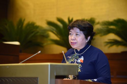 Chủ nhiệm Ủy ban Xã hội Nguyễn Thúy Anh. Ảnh Như Ý