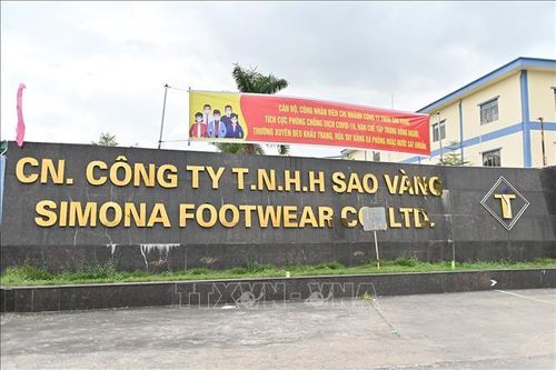 Sau khi xuất hiện ổ dịch, Công ty TNHH Sao Vàng (thành phố Uông Bí) đã tạm đóng cửa thực hiện các biện pháp phòng, chống dịch.