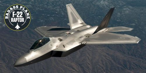 F-22 Raptor là chiến đấu cơ của thời đại, nhưng nó nhanh chóng chết yểu trong thời đại chiến đấu cơ thường có tuổi thọ trên 30 năm (F-16 và F-15 ra đời từ năm 1976, nhưng giờ vẫn tiếp tục được sản xuất); trong nhiều lý do khiến chương trình dừng lại, nhưng có lẽ lý do chương trình kéo dài quá lâu, là nguyên nhân chủ yếu.