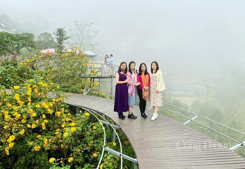 Những dải hoa uốn lượn theo cung đường Cầu Mây
