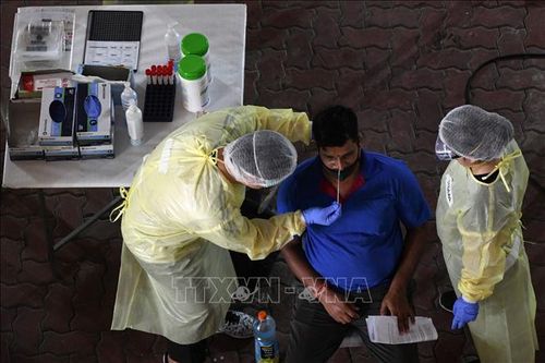 Nhân viên y tế lấy mẫu xét nghiệm COVID-19 tại Singapore. Ảnh: AFP/TTXVN