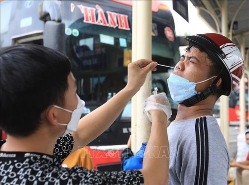 Nhà xe Thành Vân (tuyến Hà Nội - Thanh Hóa) tự mua que thử xét nghiệm nhanh COVID-19 cho hành khách trước khi lên xe. Ảnh: Hoàng Hiếu/TTXVN