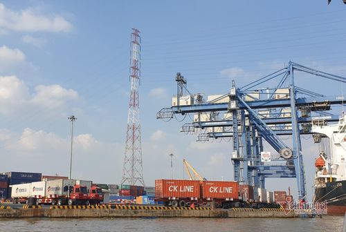 TP.HCM chính thức thử nghiệm hệ thống thu phí cảng biển từ 0h ngày 16/2
