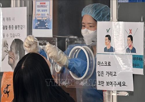 Nhân viên y tế lấy mẫu xét nghiệm COVID-19 cho người dân tại Seoul, Hàn Quốc. Ảnh: AFP/TTXVN