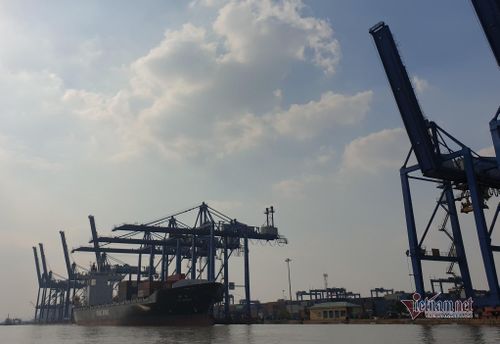Thu phí cảng biển được TP.HCM học tập cách làm từ TP Hải Phòng