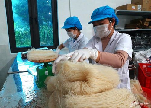 Sản xuất bún ngũ cốc dinh dưỡng tại cơ sở trên địa bàn xã Sơn Thành, huyện Yên Thành. Ảnh: Xuân Hoàng