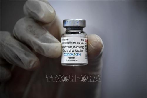 Vaccine ngừa COVID-19 Covaxin. Ảnh: AFP/TTXVN