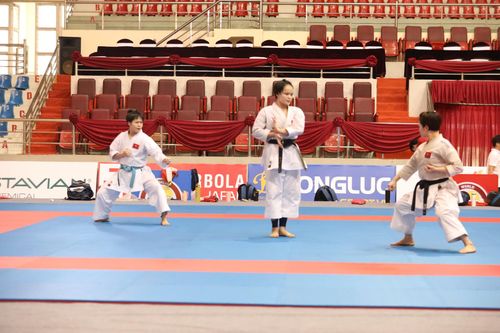 Các vận động viên Karate luyện tập.
