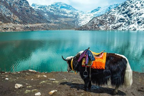 Ảnh: TripSavvy.