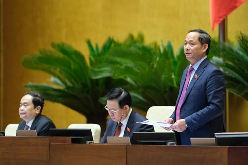 Phó Chủ tịch Quốc hội Trần Quang Phương phát biểu kết luận phiên thảo luận.