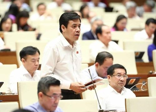 Đại biểu Trần Anh Tuấn (Đoàn Thành phố Hồ Chí Minh). (Ảnh: TTXVN) 
