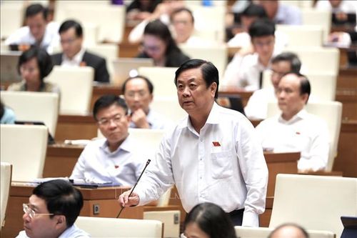 Bộ trưởng Bộ Nông nghiệp và Phát triển nông thôn Lê Minh Hoan giải trình một số vấn đề về quy hoạch sản phẩm nông nghiệp. Ảnh: Lâm Khánh/TTXVN
