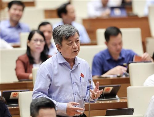 Đại biểu Quốc hội Thành phố Hồ Chí Minh Trương Trọng Nghĩa phát biểu. Ảnh: Lâm Khánh/TTXVN