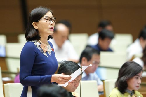 Đại biểu Xuân đặt câu hỏi: "Tại sao công tác quy hoạch theo Luật Quy hoạch lại chậm và có nhiều vướng mắc?". 