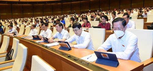 Các đại biểu TP. Hồ Chí Minh tại Kỳ họp thứ Ba, Quốc hội Khóa XV. Ảnh: Quang Khánh