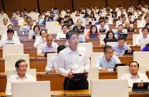 ĐBQH Nguyễn Mạnh Hùng (TP. Cần Thơ) phát biểu. Ảnh: Hồ Long