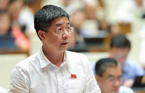 Đại biểu Nguyễn Mạnh Hùng (Đoàn Cần Thơ).