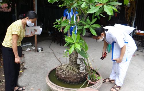 Nhân viên y tế triển khai diệt lăng quăng, bọ gậy trên địa bàn quận Hai Bà Trưng. Ảnh: Trọng Hiếu