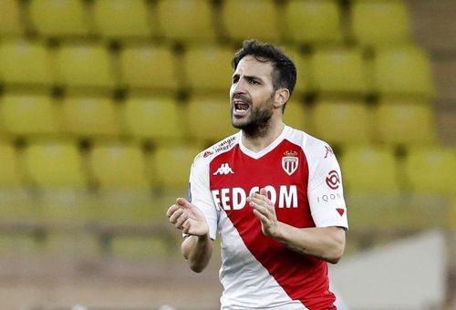  Fabregas không được AS Monaco gia hạn hợp đồng. 