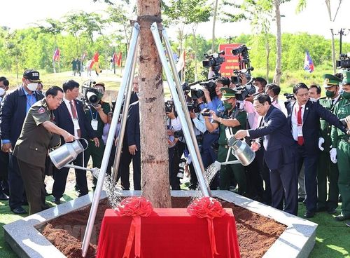  Thủ tướng Phạm Minh Chính và Thủ tướng Campuchia Samdech Techo Hun Sen trồng cây hữu nghị tại khu vực X16. (Ảnh: Dương Giang/TTXVN) 