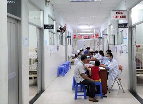 Có khả năng năm 2022 sẽ bắt đầu một đợt dịch sốt xuất huyết mới (hình minh họa).