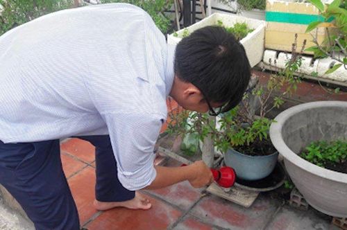 Loại bỏ các vật dụng chứa nước lâu ngày để diệt loăng quăng